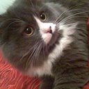 ���� �����, �����-���������, 59 ��� - ��������� 24 ������ 2014 � ������ ���� ����������