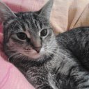 ���� �-3400, �����, 58 ��� - ��������� 6 ������ 2014 � ������ ���� ����������