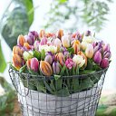 ���� �����, ���������, 60 ��� - ��������� 8 ����� 2014 � ������ ������ ��������