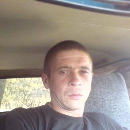 �����, �������, 46 ���