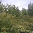 ���� �������, ������, 70 ��� - ��������� 17 ������� 2013 � ������ ���� ����������