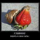 ���� Elena, �����-��������� - ��������� 21 ������� 2013 � ������ ���������� � ������.�