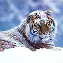 ���� Anzhelika, ������, 56 ��� - ��������� 10 ������� 2013 � ������ �� ��� � ����