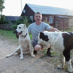 �������, �������, 54 ����