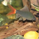 ���� V�������, ��������� - ��������� 18 ������� 2013 � ������ �������