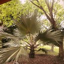 ���� �������, ������, 36 ��� - ��������� 20 �������� 2013 � ������ ���� ����������