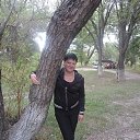 ���� �����, ������, 50 ��� - ��������� 23 ������� 2013