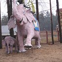 ���� �������, �����, 45 ��� - ��������� 25 ������� 2014 � ������ ������ ��������