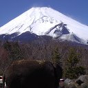  Mitryai, , 49  -  11  2014    