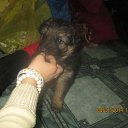 ���� ������, �����, 49 ��� - ��������� 17 ������ 2014 � ������ ���������