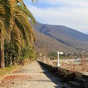 ���� ���, ����, 65 ��� - ��������� 11 ����� 2014 � ������ ��������� �� �������.�