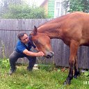 ���� ������, ��������� - ��������� 26 �������� 2013