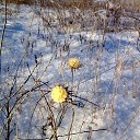 ���� �����, ��������, 60 ��� - ��������� 5 ������� 2014 � ������ ���� ����������