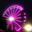 ���� ������, ����, 61 ��� - ��������� 19 ������� 2013 � ������ ���� ����������
