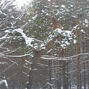  ,  -  6  2014    2014