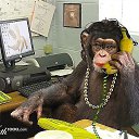 ���� ******Elena, ������, 45 ��� - ��������� 7 ������� 2013 � ������ ���� ����������