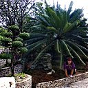 �������, �.������� - ������� 2013))))) �� ������� ���� ����������