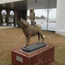 ��������