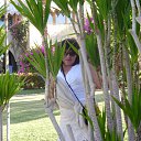 ���� �������, ������ - ��������� 10 ������� 2013 � ������ ���� ����������