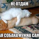 ���� ����, ��������, 59 ��� - ��������� 3 ������� 2013 � ������ ���� ����������