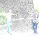 ���� ��������, ������, 62 ���� - ��������� 24 ������� 2013 � ������ ���������������� ����������