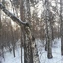  ,  -  26  2014     ,  