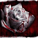 ���� ������, ������, 58 ��� - ��������� 11 ������� 2013 � ������ ���� ����������