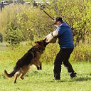 ���� �����, ����������, 38 ��� - ��������� 9 ������� 2013 � ������ ����������