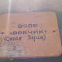 ���� ��������, ������, 52 ���� - ��������� 18 ������� 2013