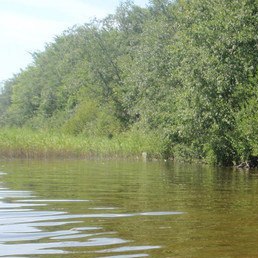 ��������� ��������, ��������