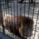 ���� �����, �������, 52 ���� - ��������� 6 ������� 2013