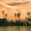 ���� �e� �, ������, 55 ��� - ��������� 8 ������� 2013 � ������ ���� ����������
