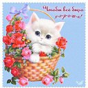 ���� ������, �����������, 43 ���� - ��������� 10 ������� 2013