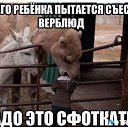 ���� ����, ����, 85 ��� - ��������� 3 ������ 2014 � ������ ��������������