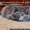 ���� ����������, ������, 48 ��� - ��������� 7 ������� 2013 � ������ �����������