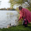 ��������� ��� ����� �� ������� ���� ����������