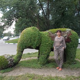 ������, �������, 73 ����