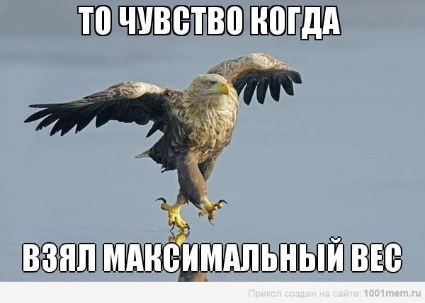   ,   ...