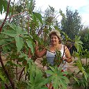 ���� �������, ���������, 69 ��� - ��������� 5 ����� 2014