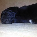 ���� ������, �������������� - ��������� 21 ������� 2013 � ������ ����Ի