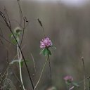 ���� ��������, ������ - ��������� 6 ������� 2013 � ������ �������� ����...�