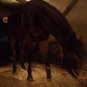 ���� ����������, ������, 35 ��� - ��������� 2 ������� 2013 � ������ ���� ����������