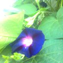  Masha, , 43  -  7  2013    