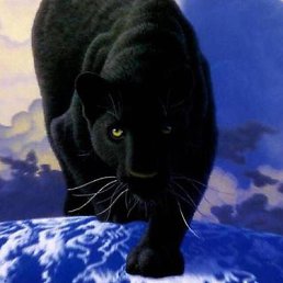 ���������, �����-���������, 34 ����