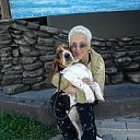 ���� �����, �����, 62 ���� - ��������� 5 ������� 2013 � ������ ���� ����������