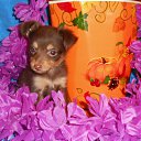 ���� �����, �����, 46 ��� - ��������� 3 ������� 2013 � ������ ���� ����������