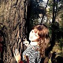 ���� ������, ������, 43 ���� - ��������� 22 ������� 2013 � ������ ���� ����������