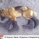 ���� �����, �����, 60 ��� - ��������� 20 ������� 2014 � ������ ���� �������� ��������