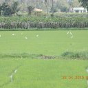 ���� ������, ������ ��������, 60 ��� - ��������� 19 �������� 2013 � ������ ���� ����������