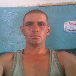 ���� ������, ������ ���, 49 ��� - ��������� 4 ����� 2014